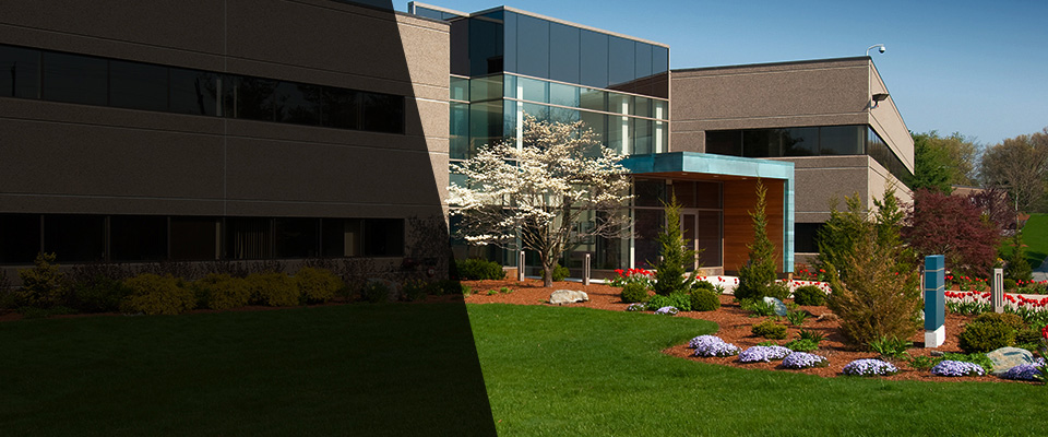 Conifer Landscapers