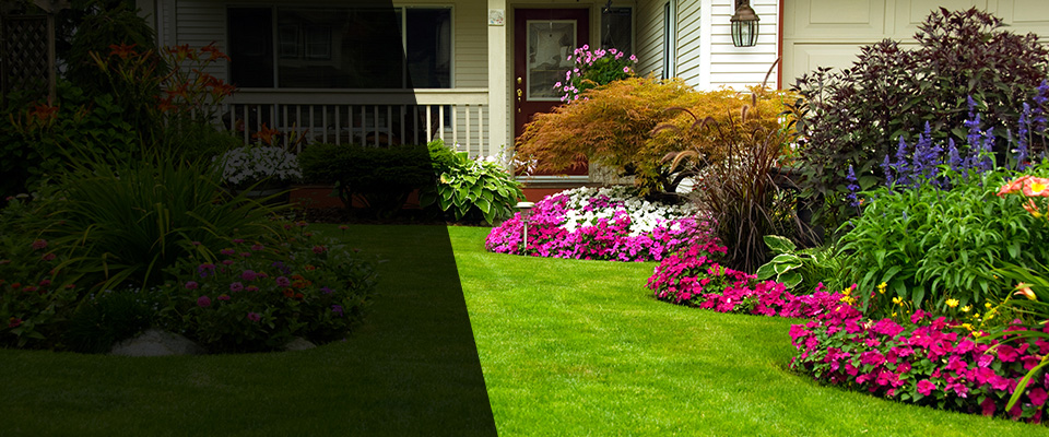 Conifer Landscapers