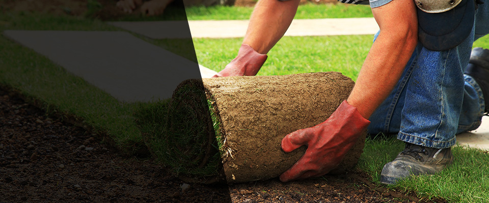 Conifer Landscapers